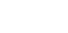Active Skin Logo